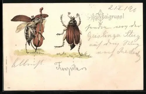 AK tanzender Maikäfer & Cello spielendem Maikäfer