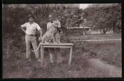 Foto-AK Zwei Afrikaner mit einem Leopard an einer Leine