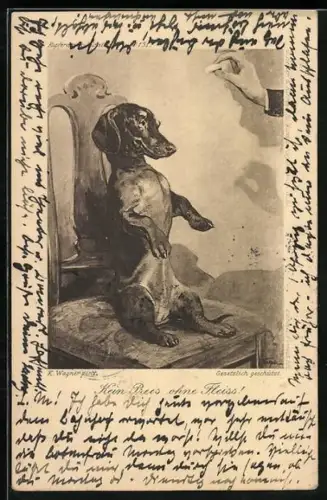 AK Kein Preis ohne Fleiss, Dackel beim Männchenmachen auf einem Stuhl, Hand mit Hundekeks