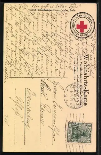 AK Graf Zeppelin, Vaterländischer Frauenverein