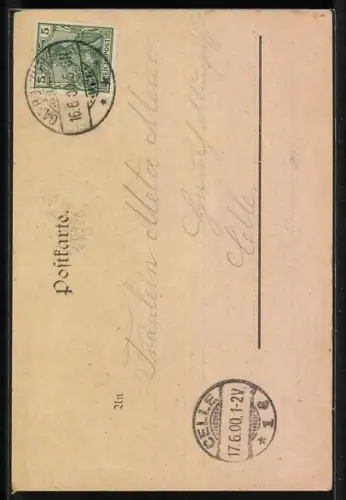 AK Dame entwischt mit dem Fahrrad einem Polizisten