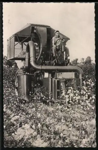 AK Baumwollpflück-Maschine auf einem Baumwollfeld