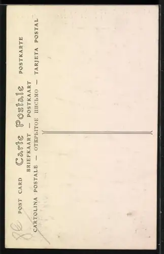 AK Dirigeable Militaire Colonel-Renard, Zeppelin