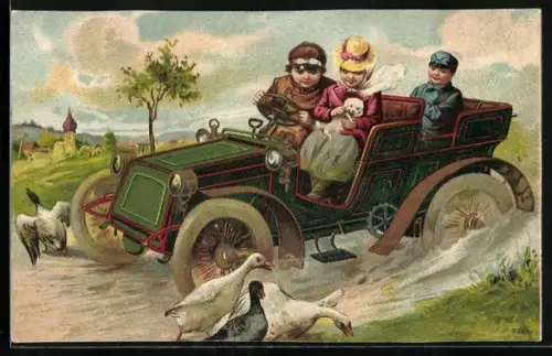 AK Auto verjagt Gänse