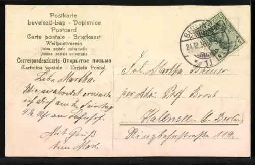 AK Auto verjagt Gänse