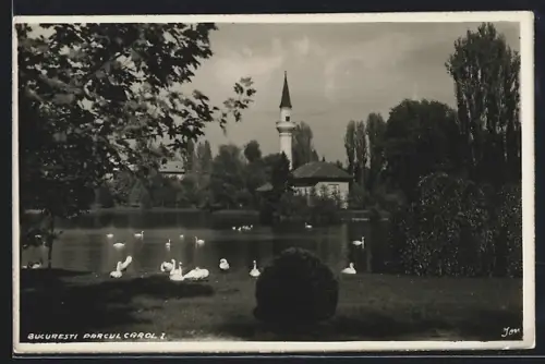 AK Bucuresti, Parcul Carol I