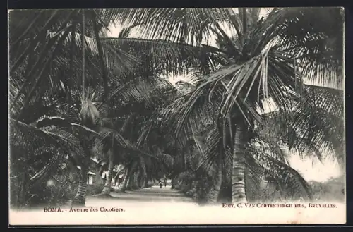 AK Boma, Avenue des Cocotiers