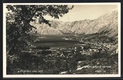 AK Kotor, Gesamtansicht