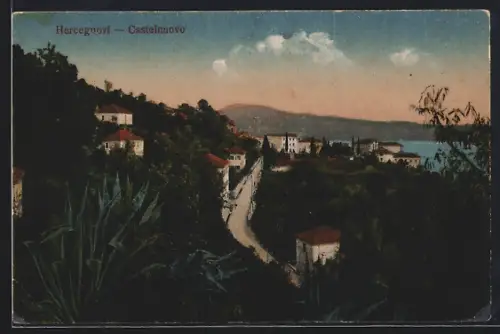 AK Castelnuovo, Ortspartie aus der Vogelschau