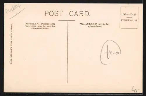 AK London, Hadley Old Tree