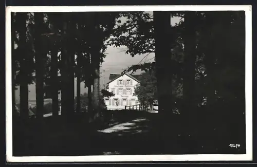 AK Heiden, Durchblick auf Gasthaus und Pension Rossbüchel