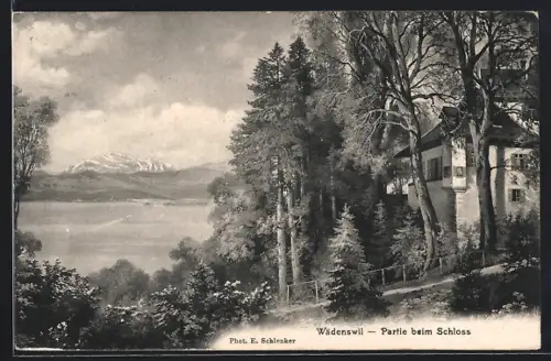 AK Wädenswil, Partie beim Schloss