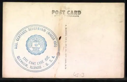 AK Chicago, Soldiers Field and Field Museum at the Lake Front, Stadion