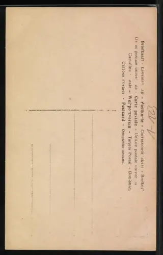 AK Prinzessin Victoria Louise, Portrait