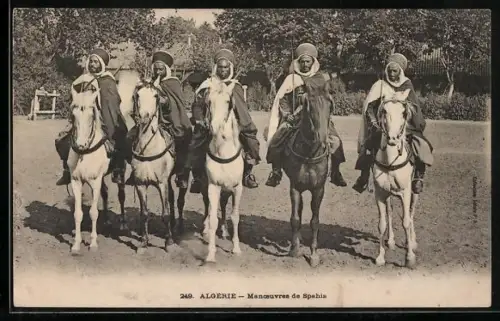 AK Algérie, Manoeuvres de Spahis, Reiter