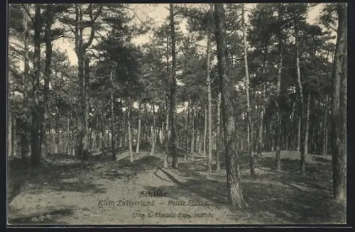 AK Schilde, Klein Zwitserland