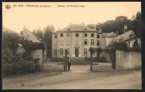 AK Arbre /Namur, Château de Marteau-Longe