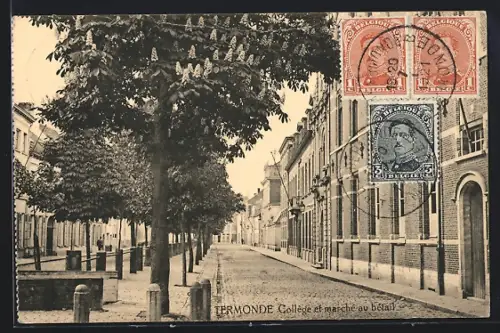 AK Termonde, Collège et marché au bétail