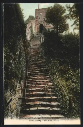 AK Carisbrook, Carisbrook Castle, Steps leading to the Keep