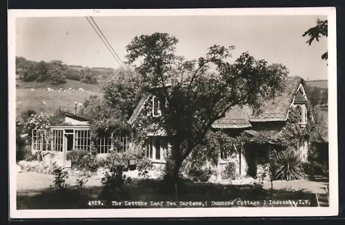 AK Shanklin, Dunnose Cottage, The Lettuce Leaf Tea Gardens