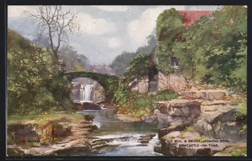 Künstler-AK Newcastle-on-Tyne, Jesmond Dene, Old Mill and Bridge