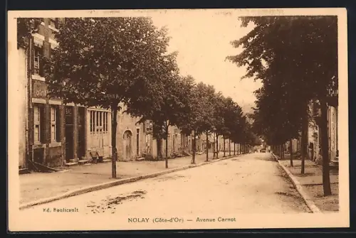 AK Nolay /C.-d`Or, Avenue Carnot