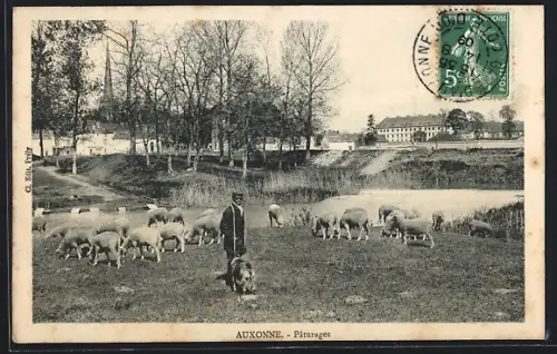 AK Auxonne, Paturages