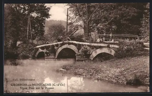 AK Grosbois-en-Montagne, Vieux Pont sur la Brenne