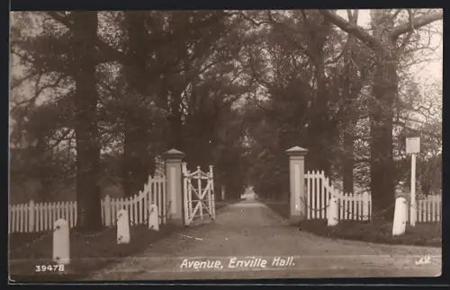 AK Enville, Enville Hall, Avenue