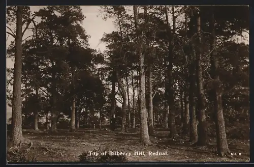 AK Rednal, Top of Bilberry Hill