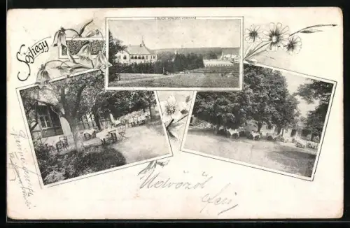 AK Budapest, Sashegy