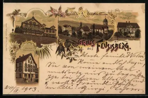 Lithographie Feusisberg, Pension Feusisgarten, Gasthof Feusisberg, Pension zur Frohen Aussicht
