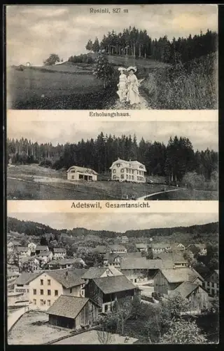 AK Adetswil, Erholungshaus, Rosinli, Ortspanorama