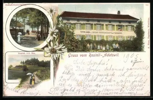 AK Adetswil, Gasthaus zum Frohberg, Rosinli-Restaurant, Rosinli