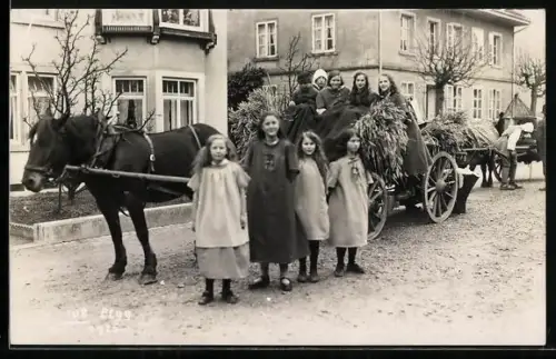 Foto-AK Elgg, Kinder mit einer Pferdekutsche 1925