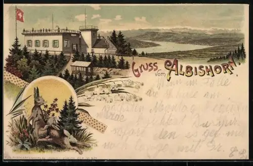 Lithographie Albishorn, Blick zum Gasthaus, Hasen