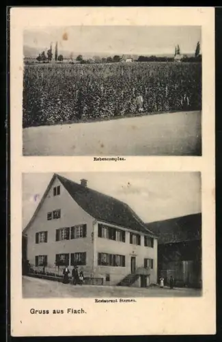 AK Flaach, Restaurant Sternen, Rebencomplex