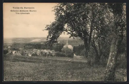 AK Orbais-l`Abbaye, Vue Generale