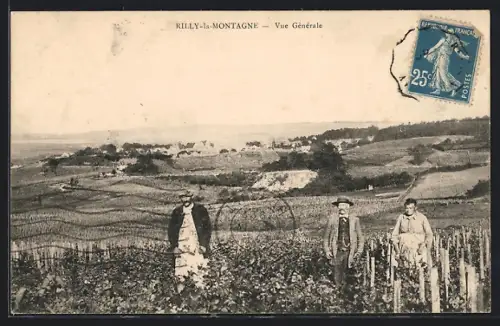 AK Rilly-la-Montagne, Vue Gènèrale