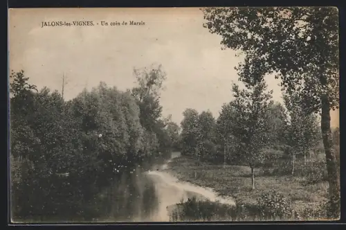 AK Jalons-les-Vignes, Un coin de Marais