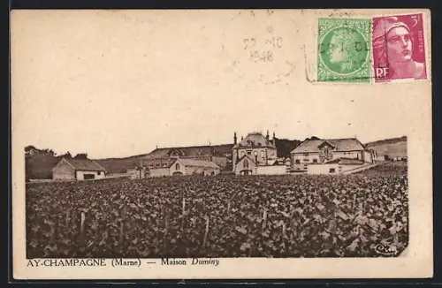 AK Ay-Champagne /Marne, Maison Duminy et vignobles environnants