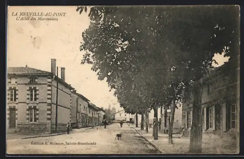 AK La Neuville-au-Pont, L`Allée des Maronniers
