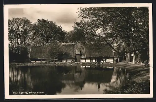 AK Hälsingborg, Palsjö damm