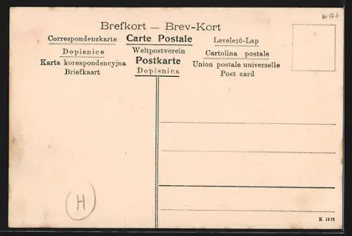 AK Hernösand, Panorama mit Strassenpartie