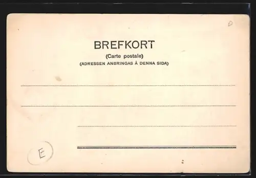 AK Göteborg, Brunnsparken