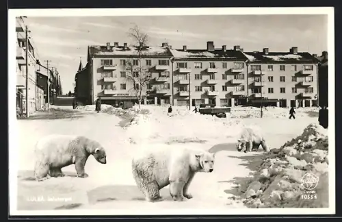 AK Lulea, Salutorget