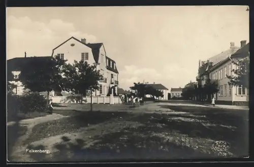 AK Falkenberg, Parti af Falkenberg