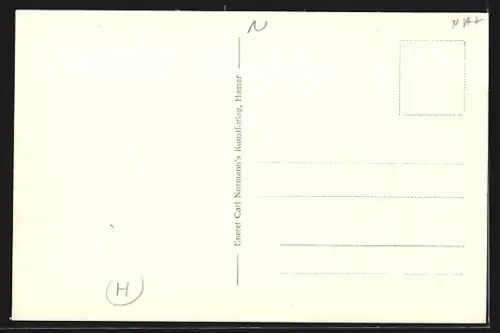 AK Flam, Fretheim Hotell