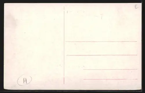 AK Vossevangen, Panorama