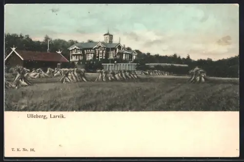 AK Ulleberg /Larvik, Panorama